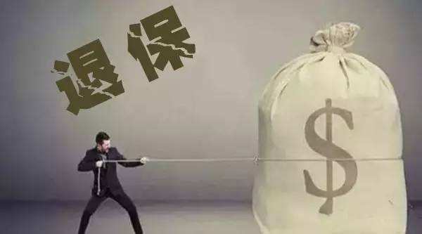 買(mǎi)的保險不想續保了能退嗎？