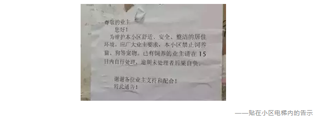 為什么不買(mǎi)保險就不讓養狗？