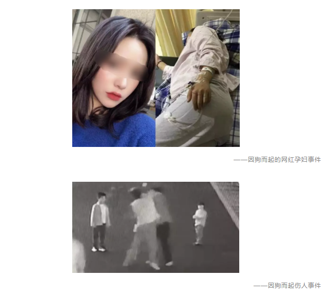 為什么不買(mǎi)保險就不讓養狗？