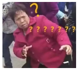 為什么不買(mǎi)保險就不讓養狗？