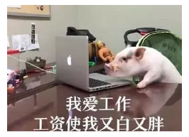 發(fā)生車(chē)禍如何快速理賠？