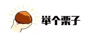 什么是年金轉換？