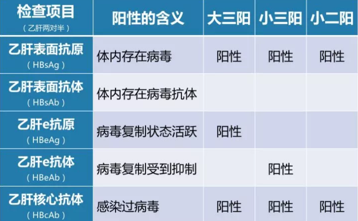 乙肝病毒攜帶者應該如何正確投保？