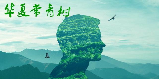 華夏長(cháng)青樹(shù)怎么樣 優(yōu)劣勢有哪些？